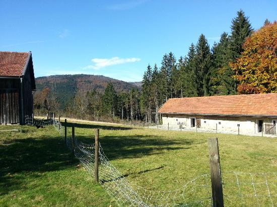 Finsterau Freilichtmuseum
