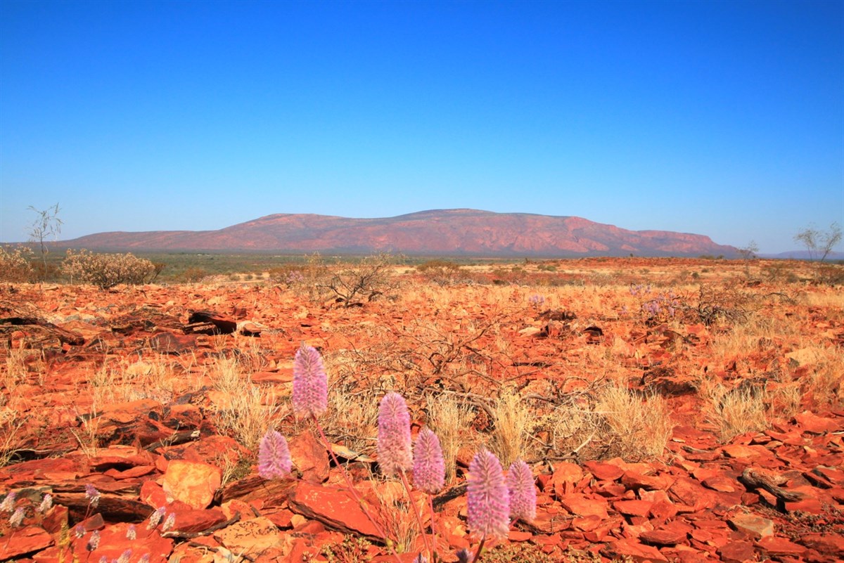 Mount Augustus