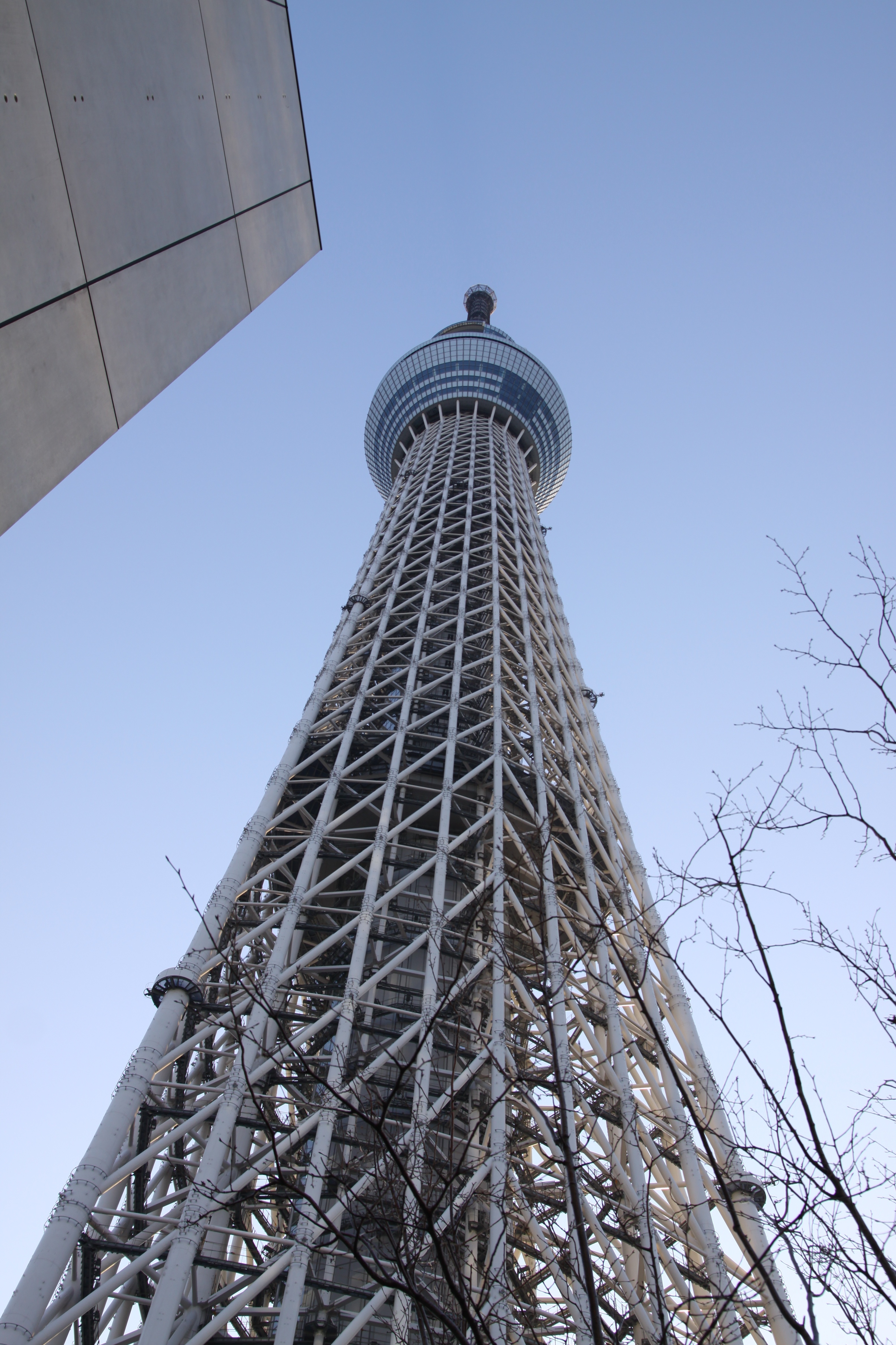 Ninjin Observation Tower