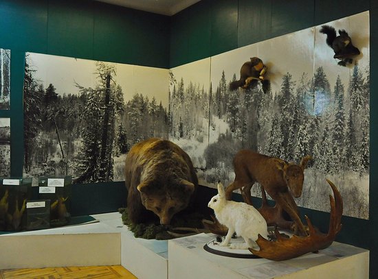 Museum of the Settlers of ХХ Century