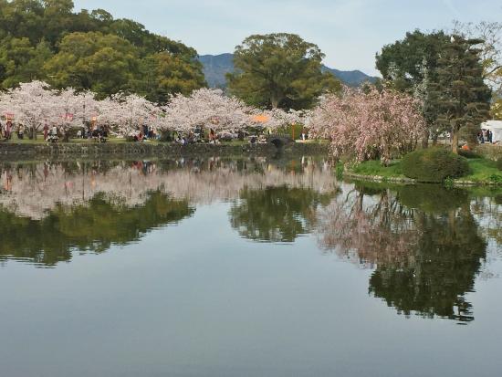 Ogi Park