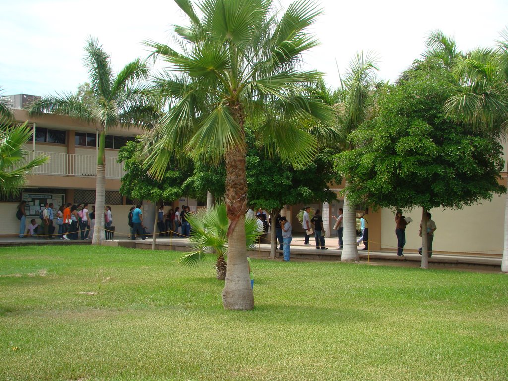 Parque Infantil de Navojoa