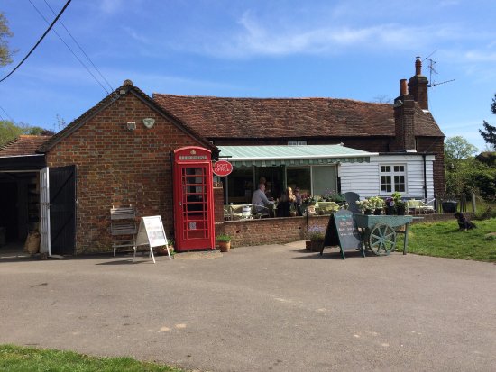 The Hambledon