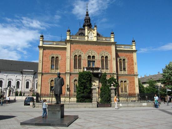 Vladicanski Dvor - Bishops Palace