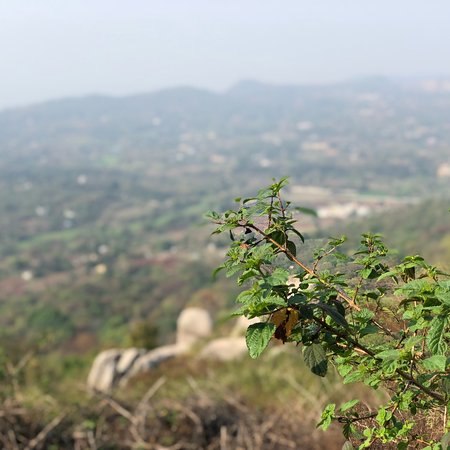 Swamimalai Hills