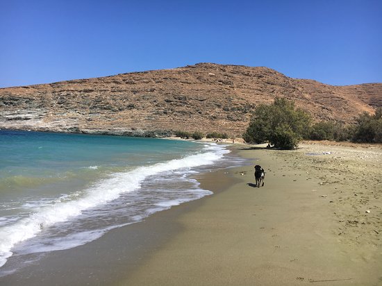 Sykamia Beach