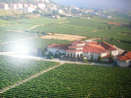 Bodegas Campillo