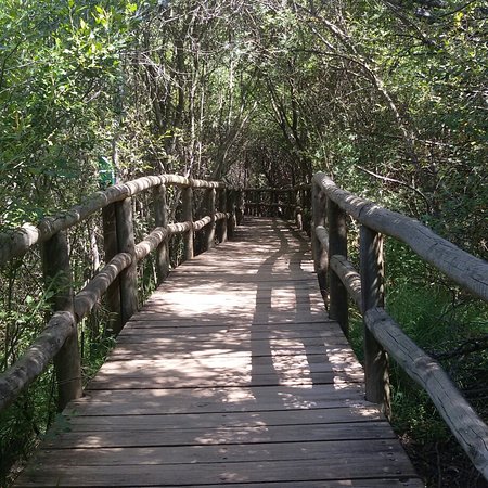 Parque Nacional de Cabañeros