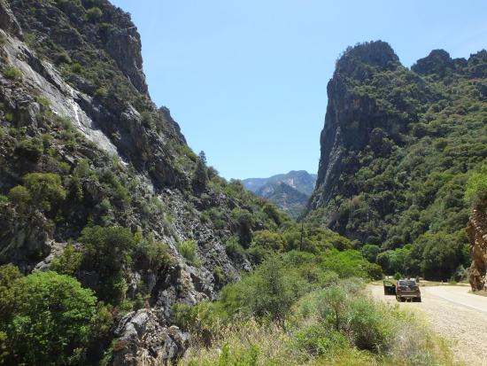 Kings Canyon Scenic Byway