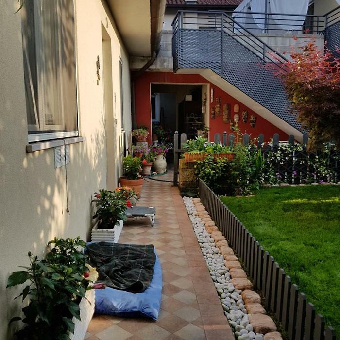 Casa Tinghi di Via Vittorio Veneto della città di Udine