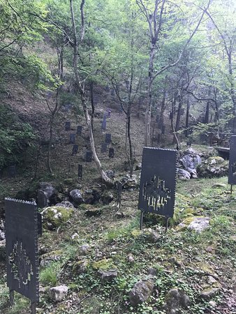 Bosco delle Penne Mozze