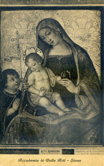 Madonna Bella Farm