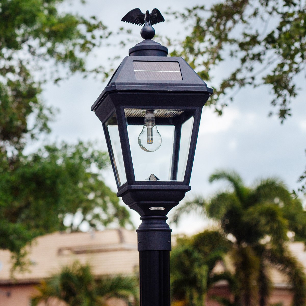 The Lamp Post