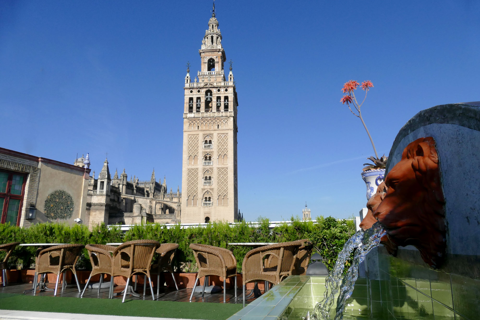 Terraza Bar Hotel Doña Maria