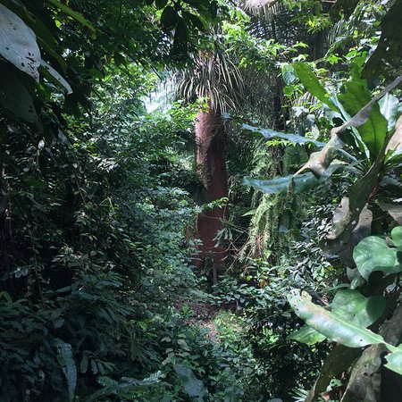 LUFASI Nature Park