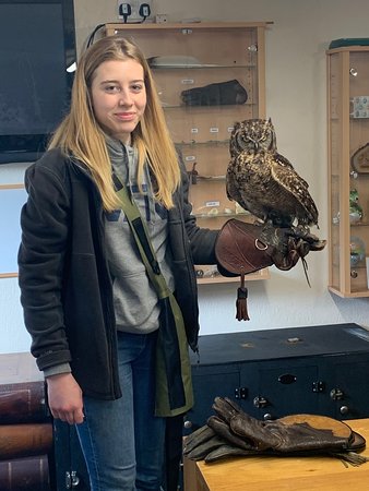 Haven Falconry