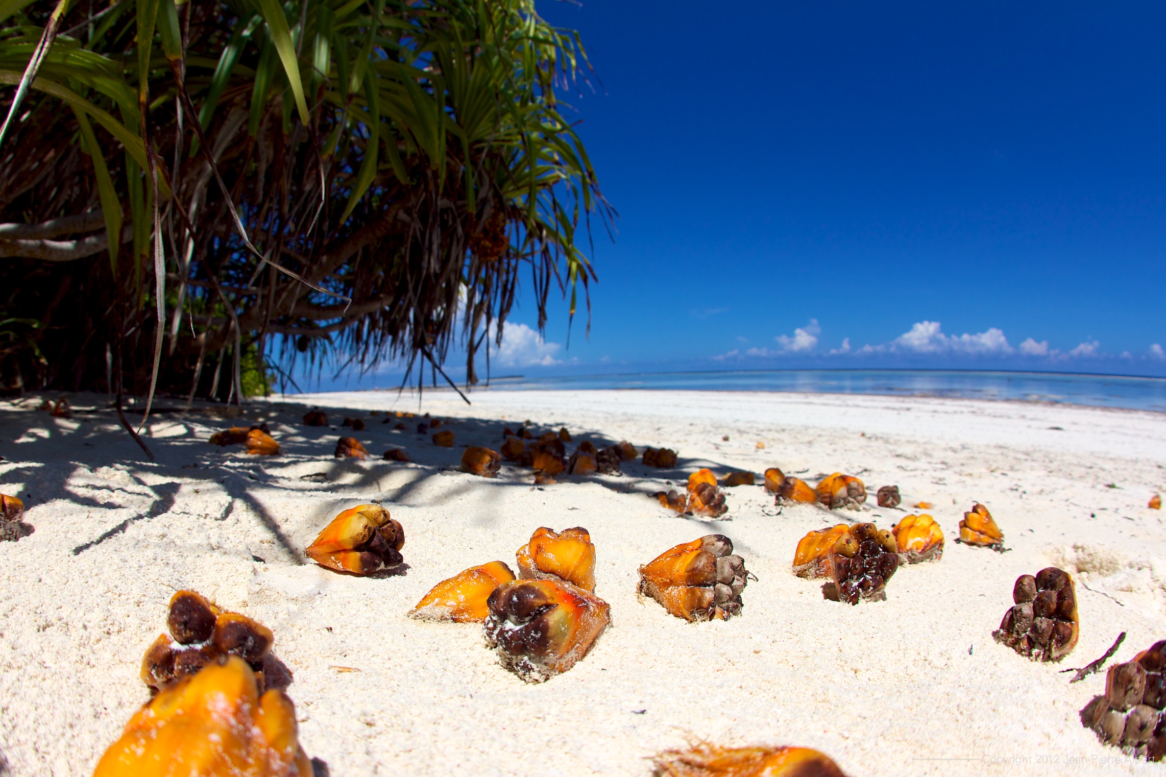 Taxis in Zanzibar