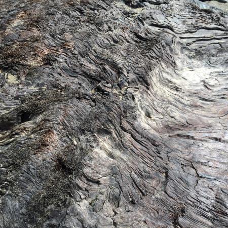 Pinnacle Gulch Coastal Access Trail