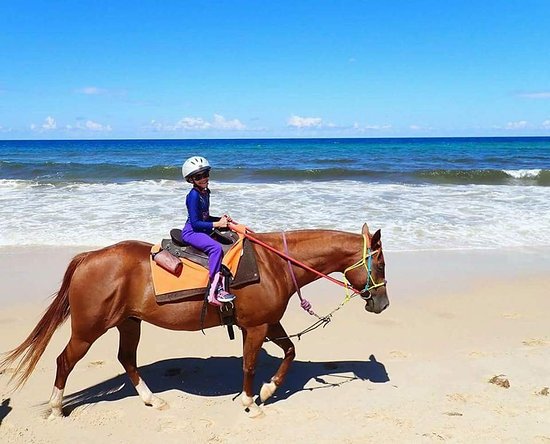 Rainbow Beach Horse Rides