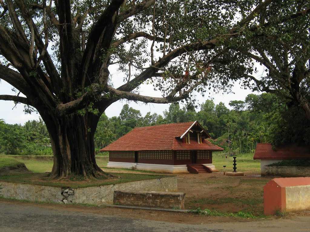 Areekkavu Bhagavathy Temple