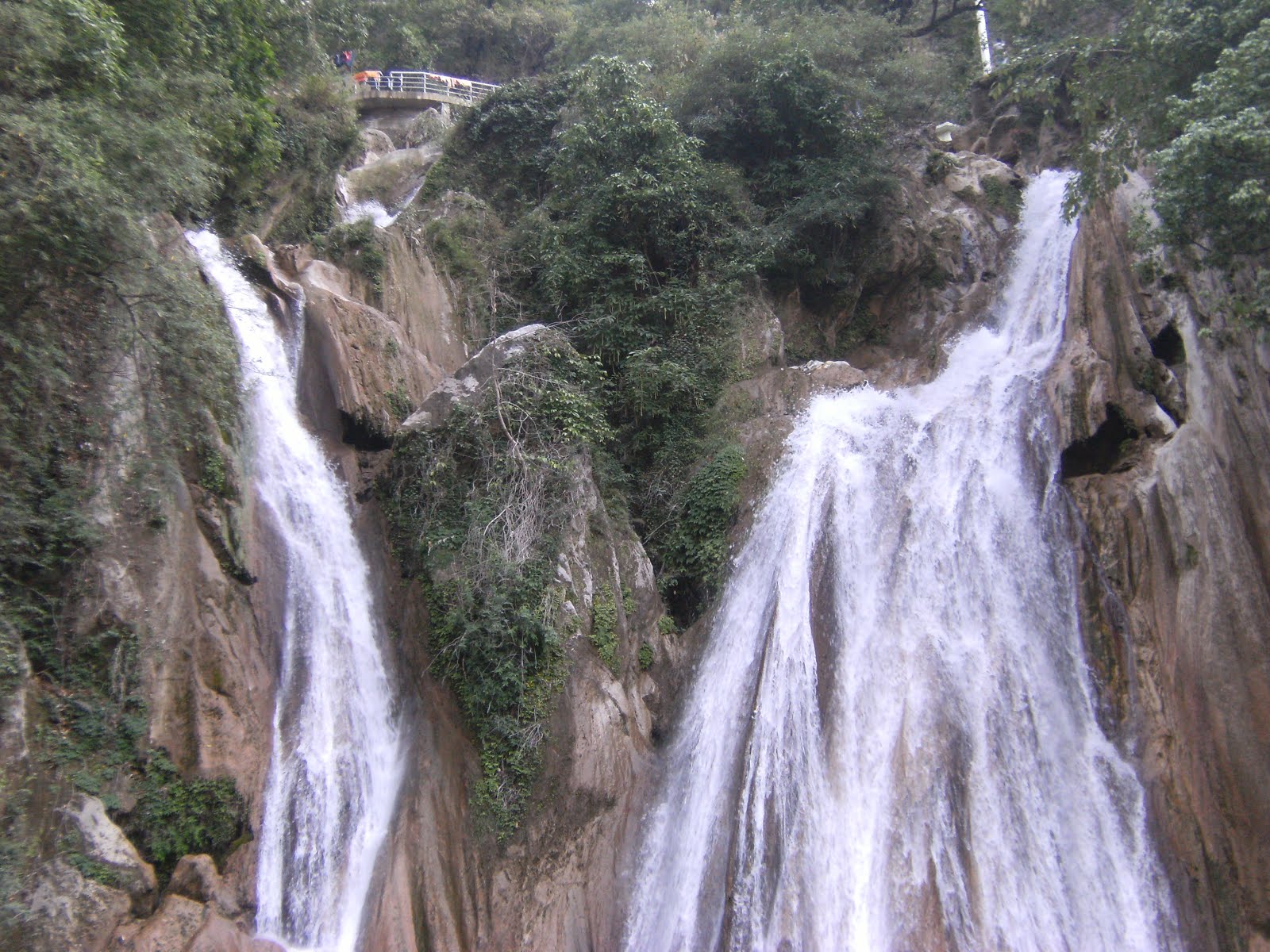 Jharipani Falls