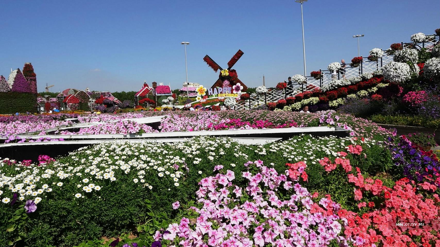 Butterfly Garden Park