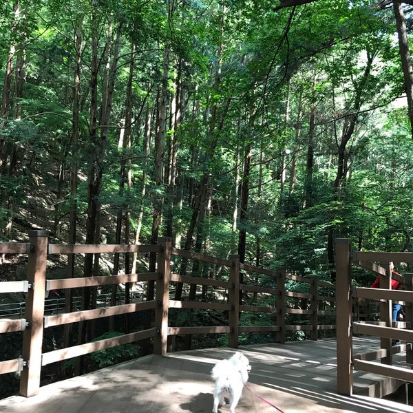 Busan Children's Grand Park