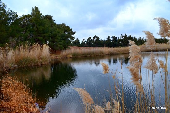 Outdoor Pictures 1