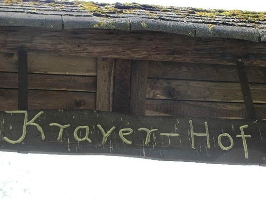 Burg Kray (Krayer Hof)
