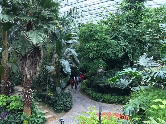 Zhongshan Botanical Garden