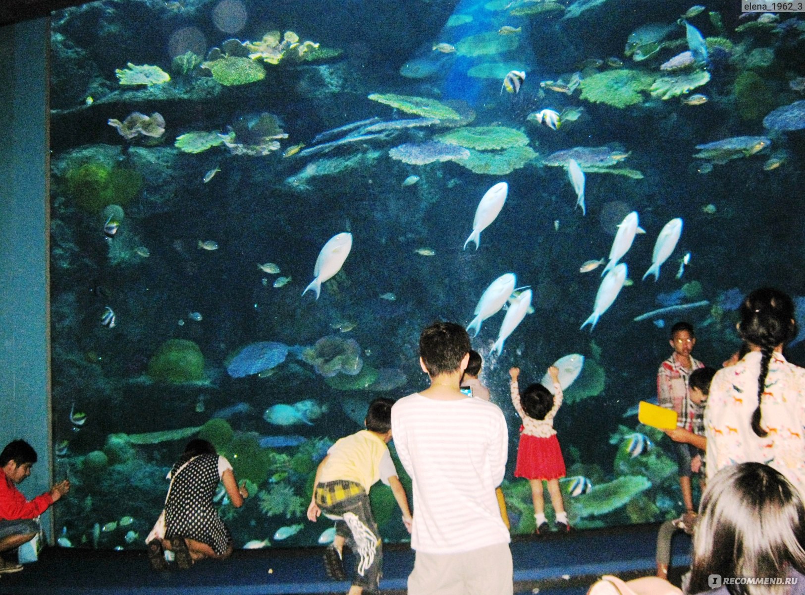 Tropical Ocean World