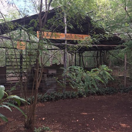Xkopek Parque Apicola