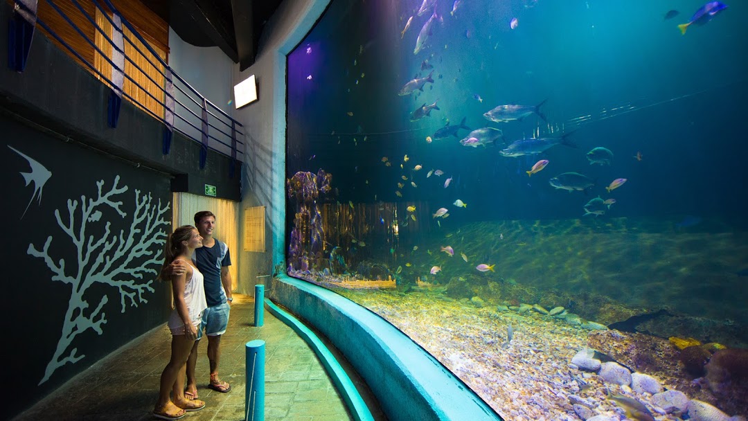 Interactive Aquarium