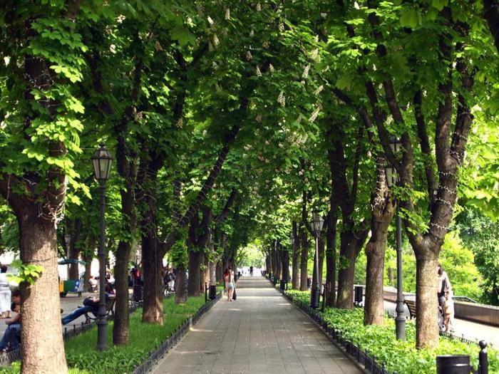 Primorsky Boulevard