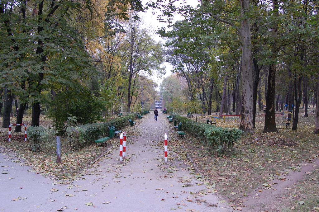 Gradina Publica