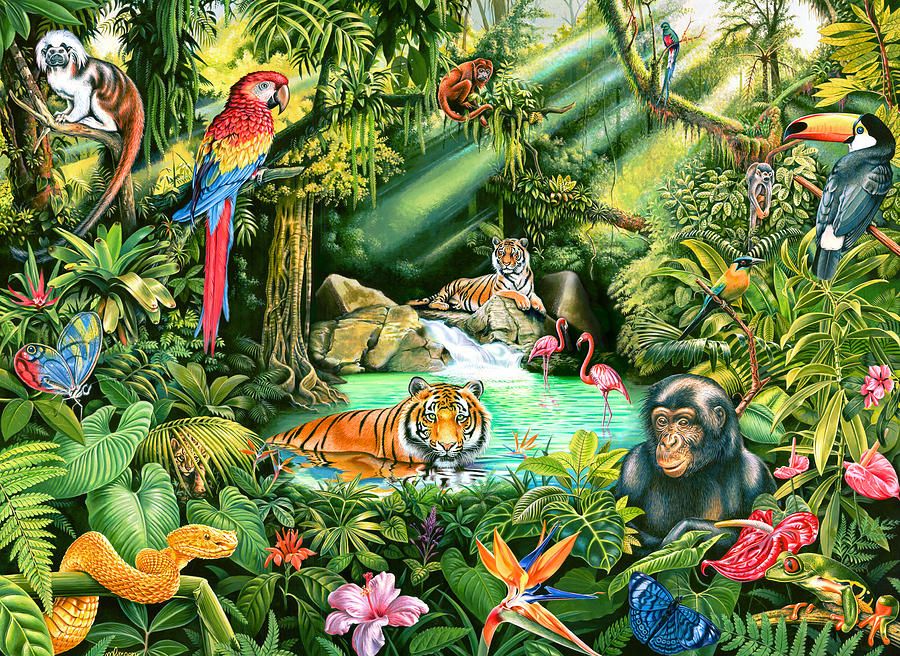 Jungle gemz
