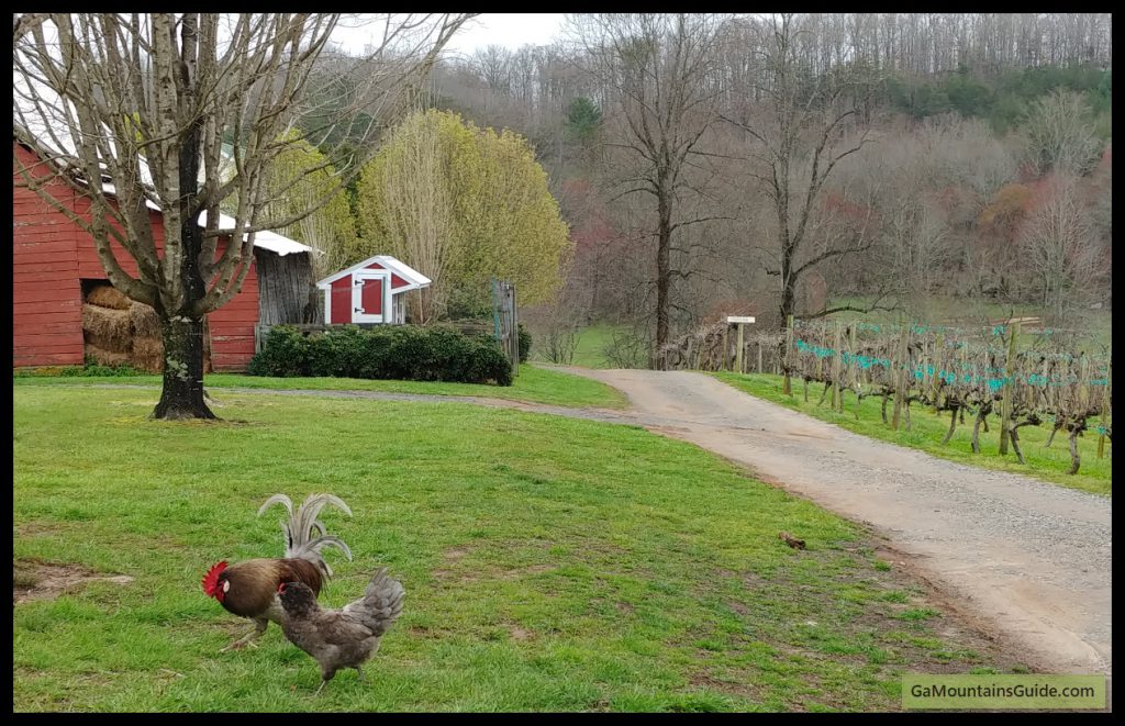 Outdoor Pictures 1