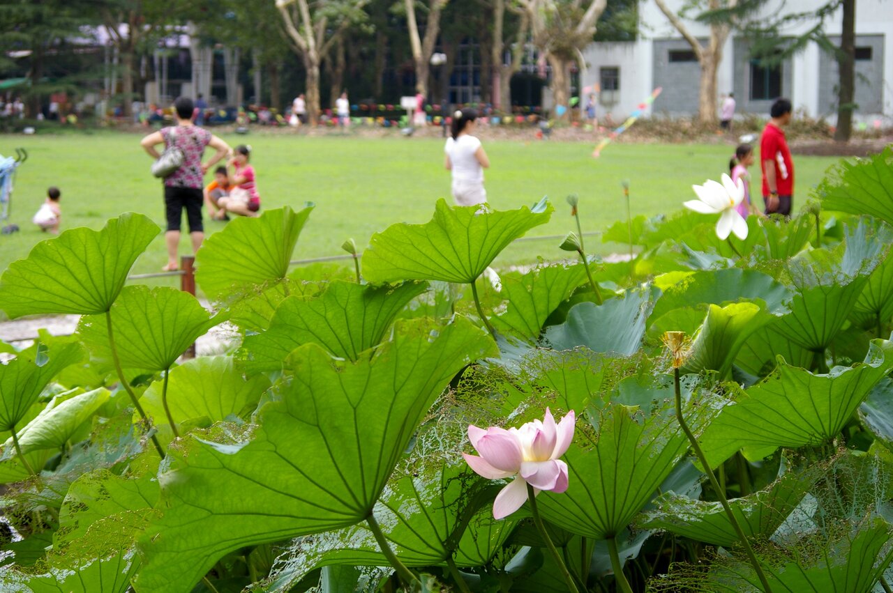 Zhongshan Park