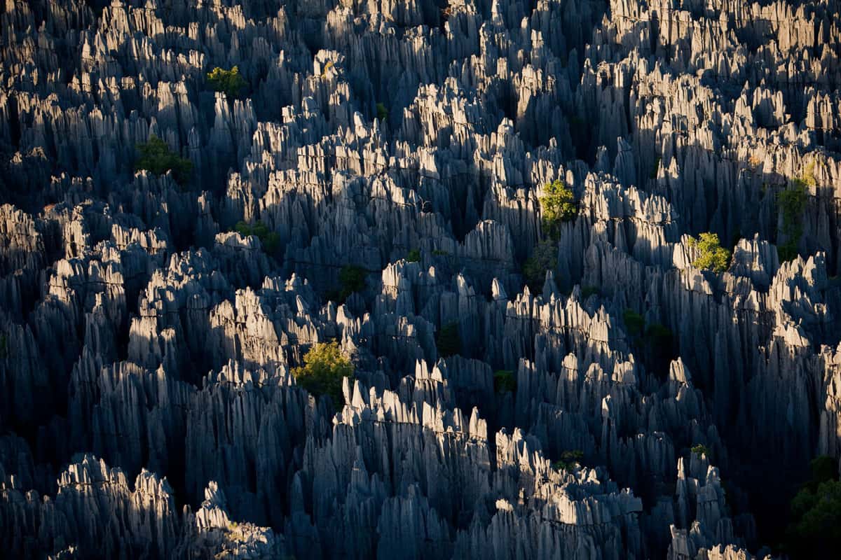 Ordovician Stone Forest
