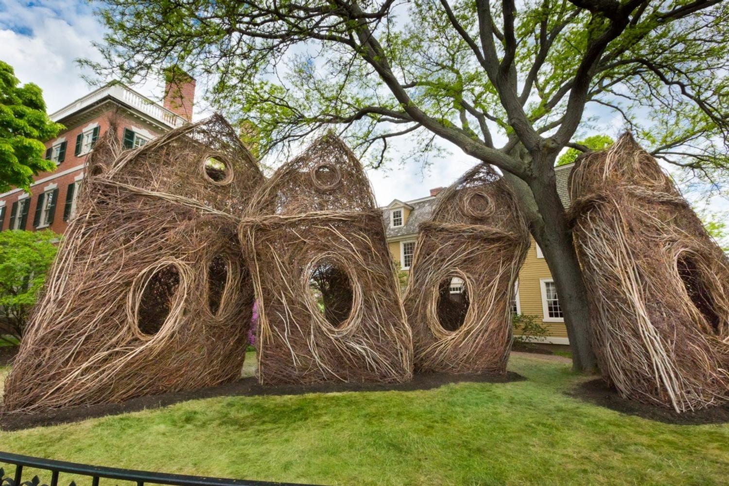 Patrick Dougherty