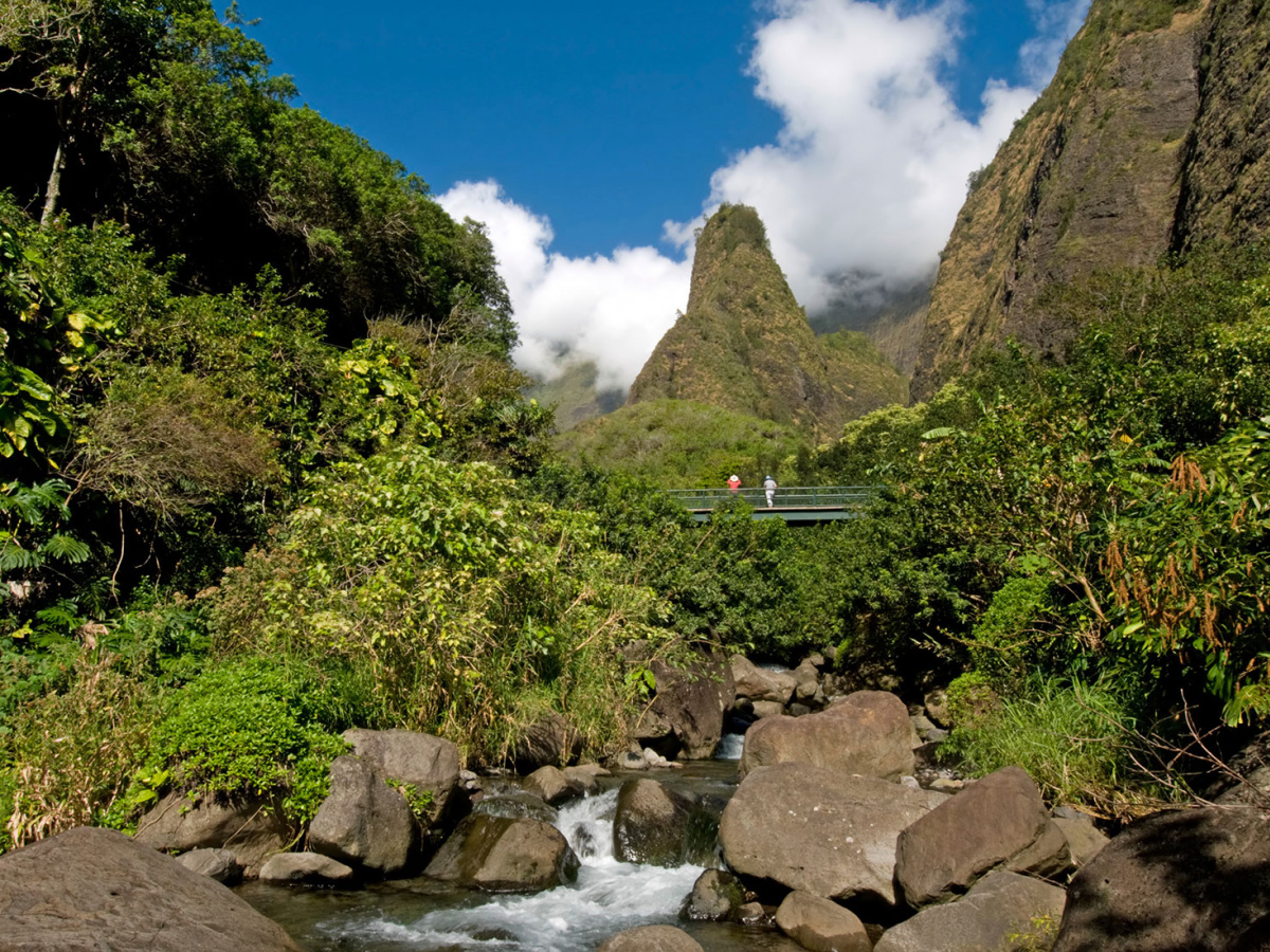 Hawaii Nature Center of Iao Valley