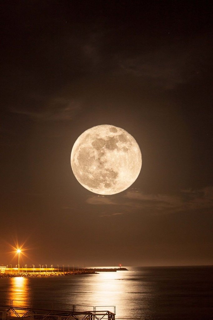 Moonlight By Luna Eclipse