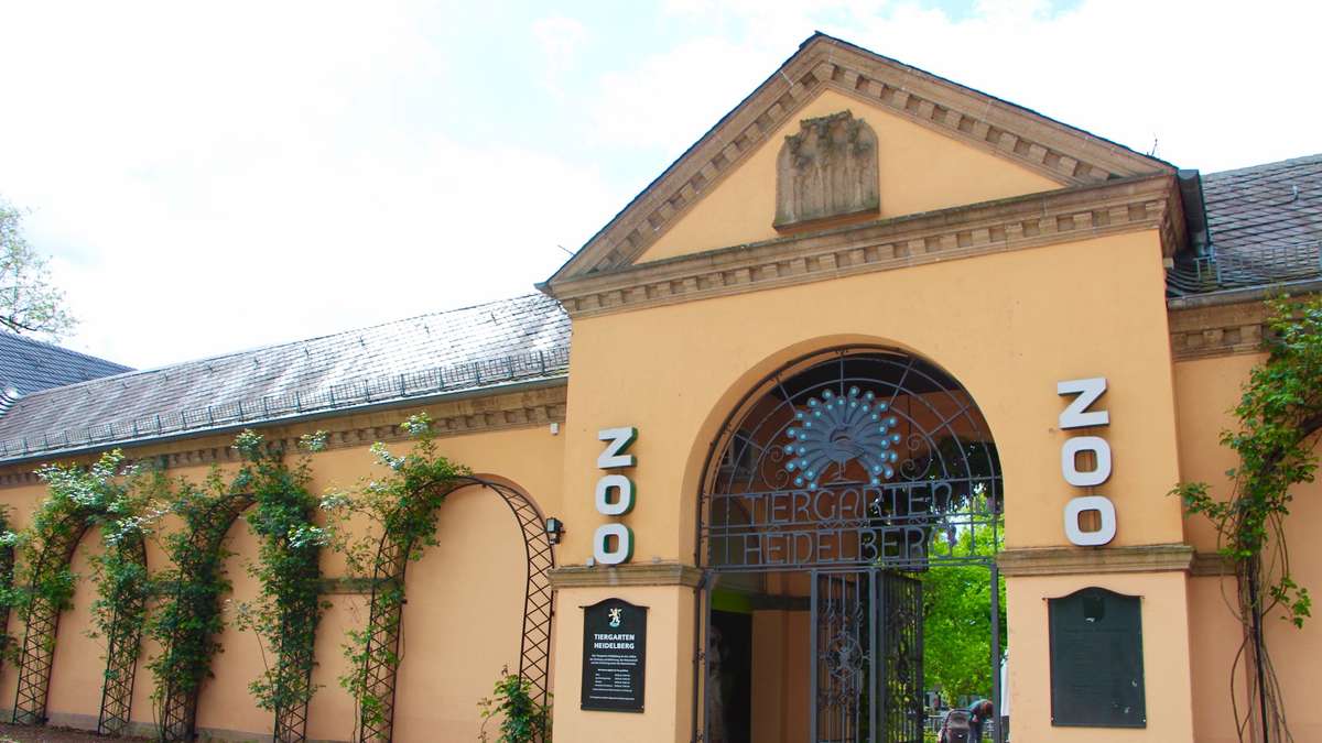 Zoo Heidelberg
