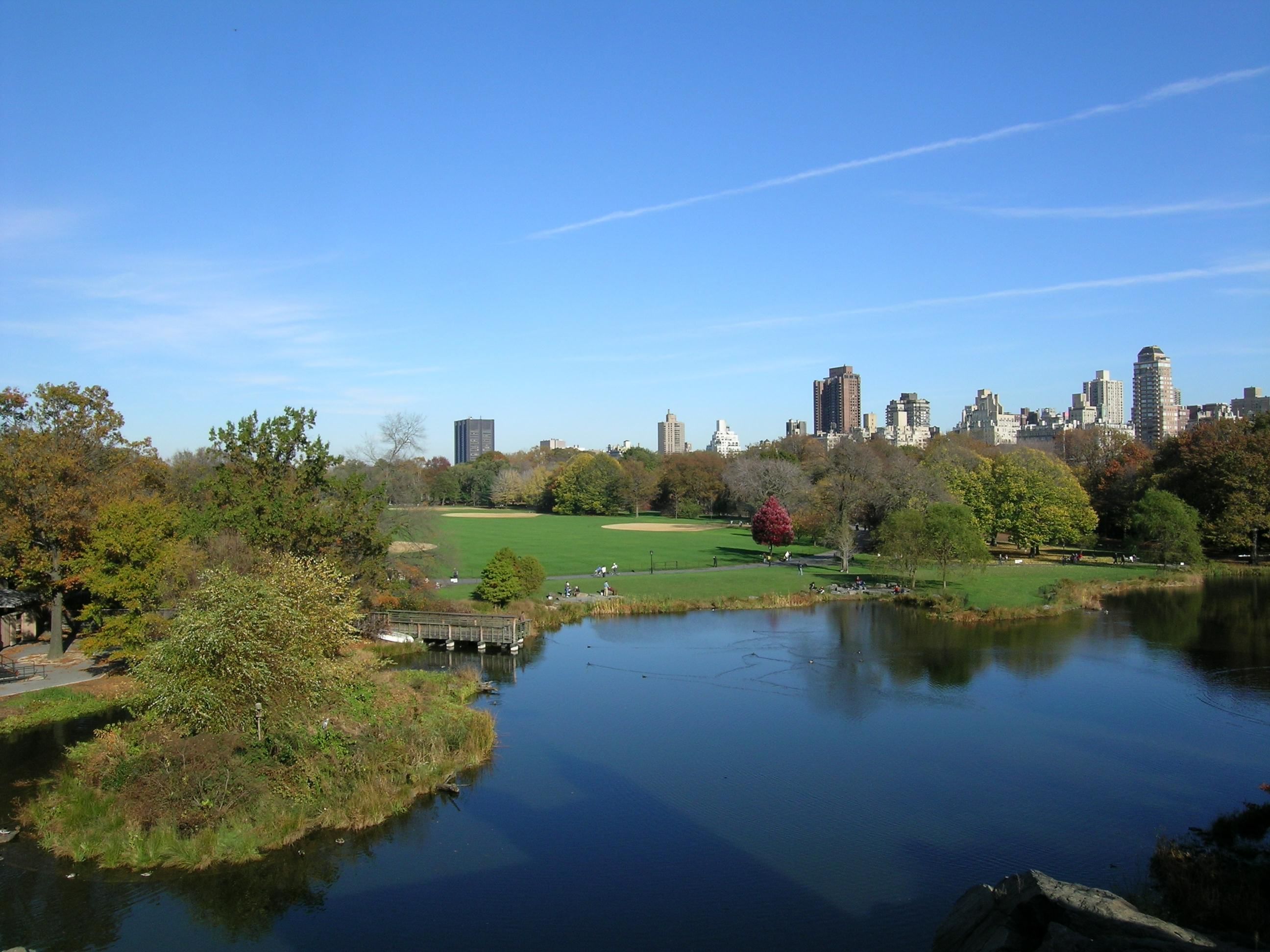 Palomino Flores (Central Park)