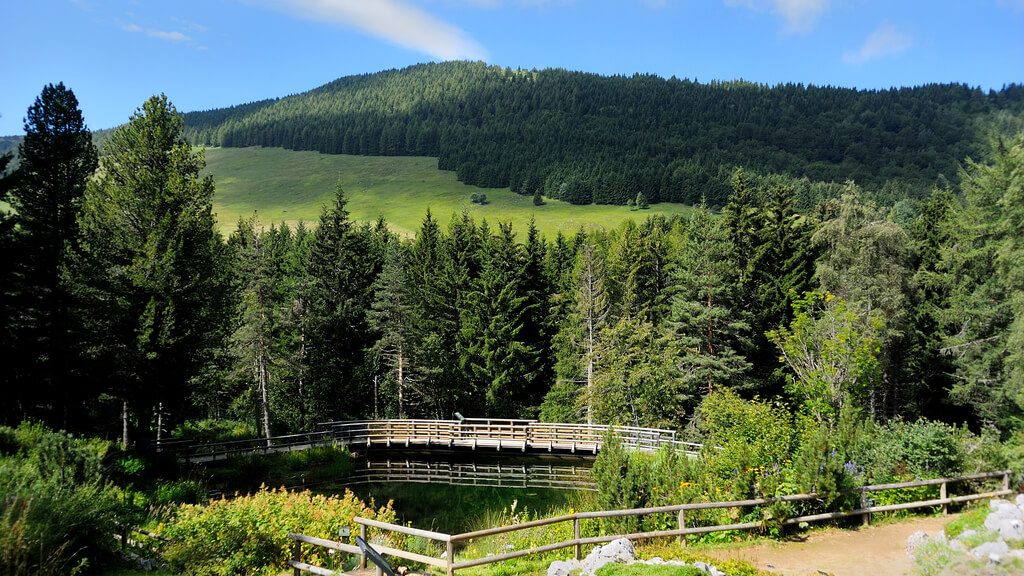 Giardino Botanico Alpino Chanousia