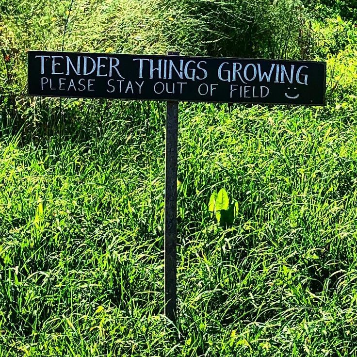 Finger Lakes Wine Country