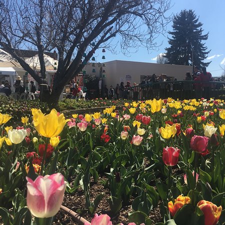 The Corbett Gardens