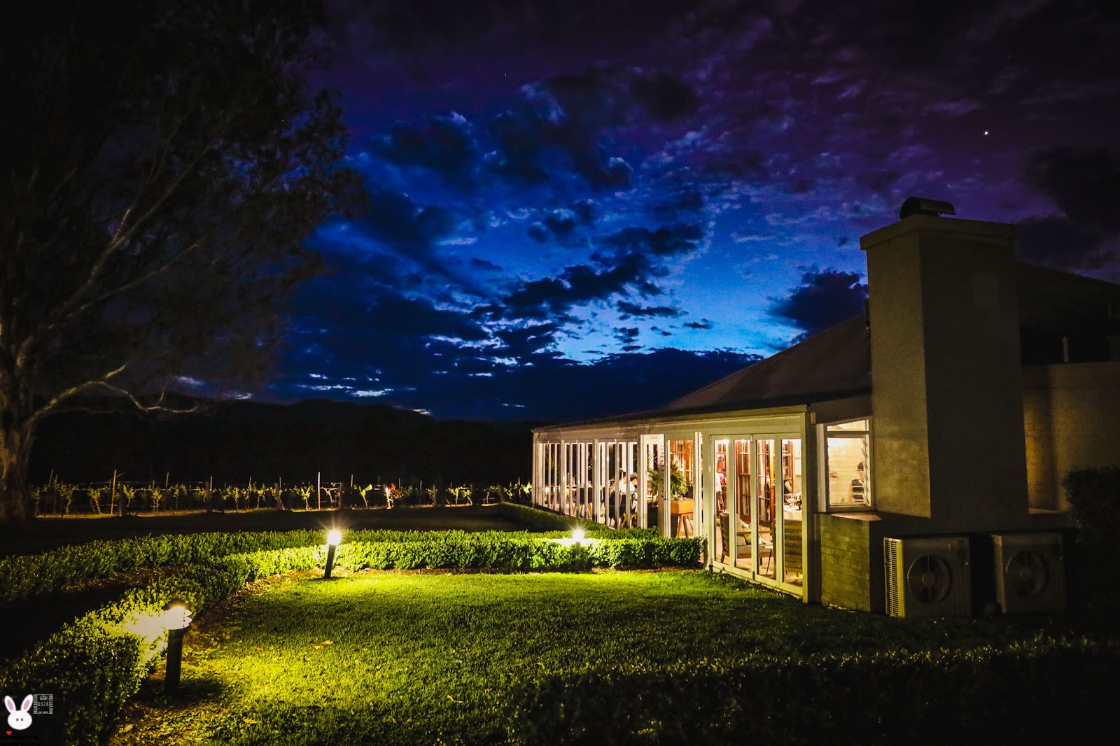 Pokolbin Estate Vineyard