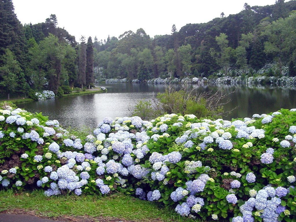 Artesanato Lago Negro
