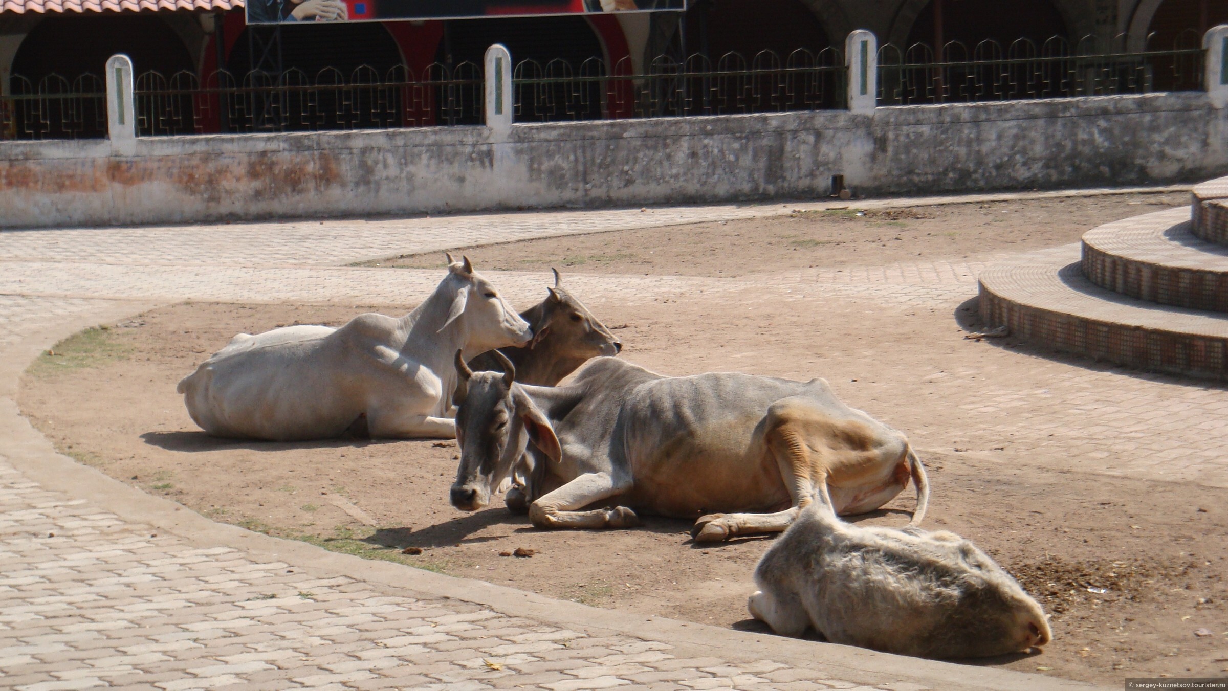 Orchha Wildlife Sanctuary
